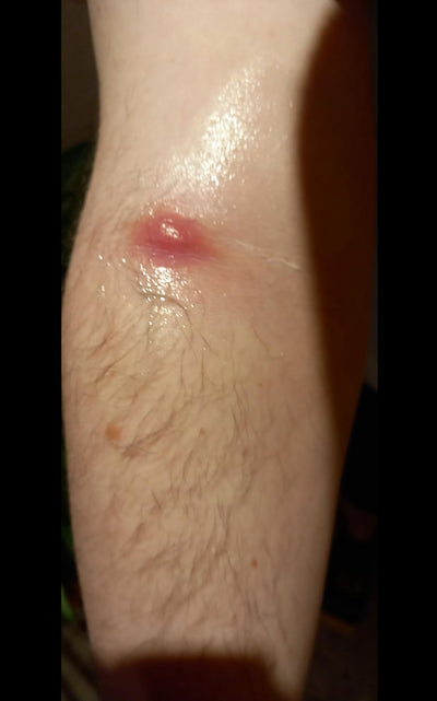 Day 01