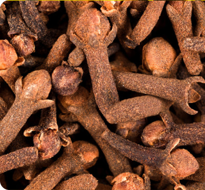 Clove Essential Oil