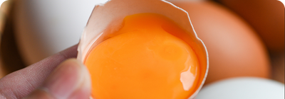 Egg yolk extract