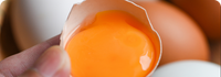 <span>Clinically </span> Studied Ingredients