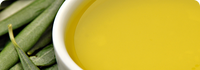 <span>Clinically </span> Studied Ingredients
