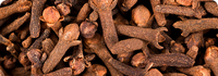 <span>Clinically </span> Studied Ingredients