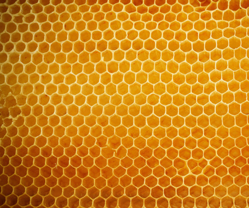 Ingredients image